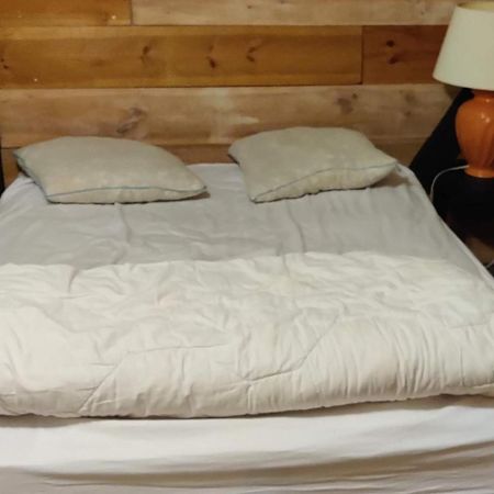 Apartmán La Cabane Rustique Du Bassin La Teste-de-Buch Exteriér fotografie